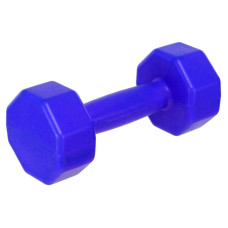 Гантелі для фітнесу пластикові Champion 2х2кг, синій, код: TA-9820-2_BL