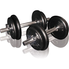 Гантелі збірні Toorx 20 кг (2х10 кг) з кейсом (VAL-20DGN), код: 931411-SVA