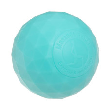 Масажер для спини FitGo Ball Rad Roller бірюзовий, код: FI-3809_T-S52