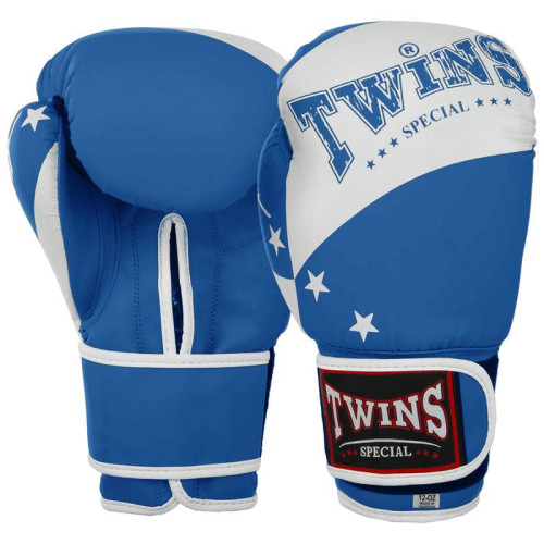 Боксерські рукавиці Twins PVC 14 унцій, синій, код: BO-9476_14BL