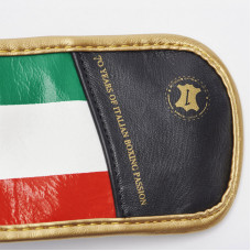 Боксерські рукавиці Leone Italy 10 унцій, чорний, код: 500084-RX