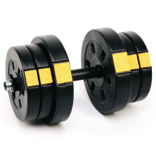 Гантелі розбірні Besport PowerPro 2х21кг, код: 00-G00000379