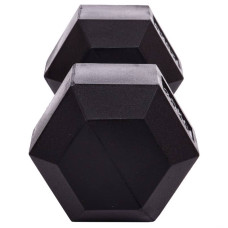 Гантель цільна шестигранна BioGym 1х25кг, код: SC-8013-25-S52
